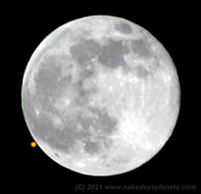 Simulation showing Mars about to disappear behind the Moon's Eastern limb during the lunar occultation of December 7th-8th 2022 (Image: Copyright Martin J Powell 2021)