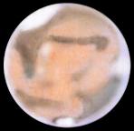 The planet Mars sketched by Paul G Abel in April 2014 (Image: Paul G Abel /ALPO-Japan)